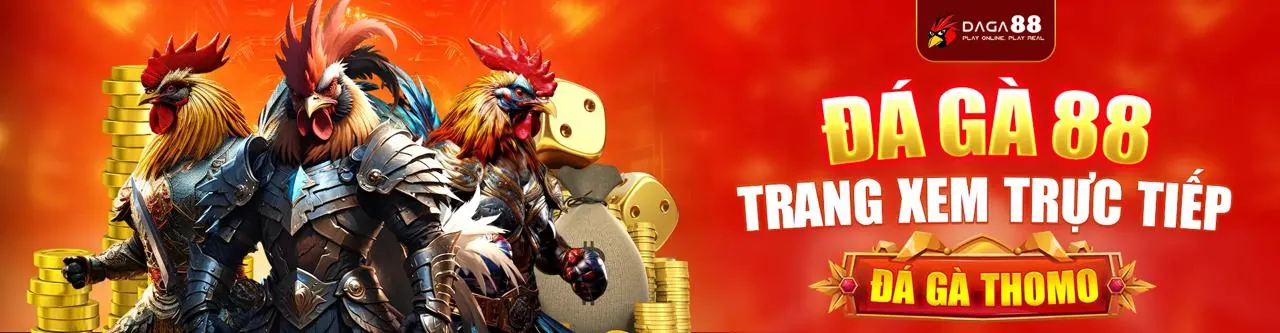 Đá gà trực tuyến 08win chính thức