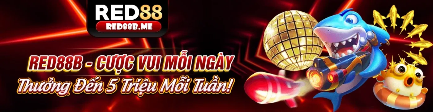 Hình ảnh chính blog 08win chính thức với các trò chơi cá cược trực tuyến